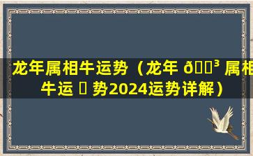 龙年属相牛运势（龙年 🌳 属相牛运 ☘ 势2024运势详解）